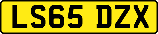 LS65DZX