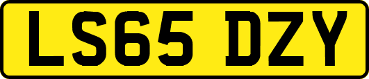 LS65DZY