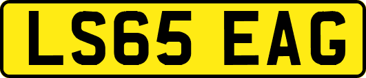 LS65EAG