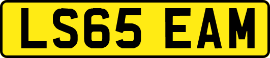 LS65EAM