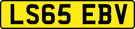 LS65EBV