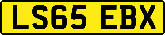 LS65EBX