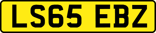 LS65EBZ
