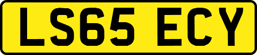 LS65ECY