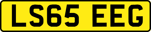 LS65EEG