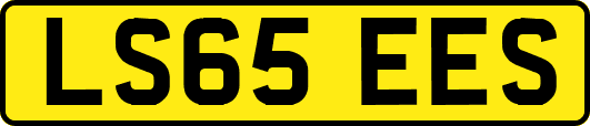 LS65EES