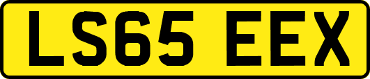 LS65EEX