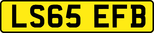 LS65EFB