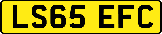 LS65EFC