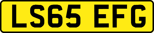 LS65EFG