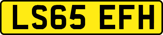 LS65EFH