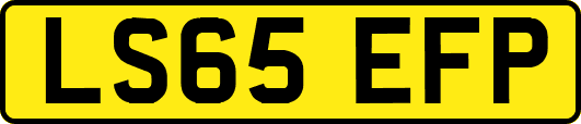 LS65EFP