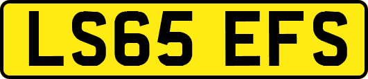 LS65EFS