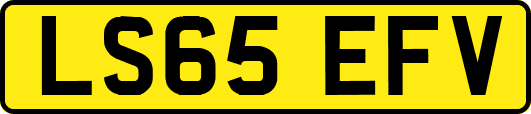 LS65EFV