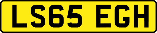 LS65EGH