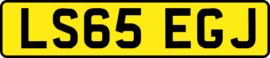 LS65EGJ