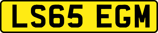 LS65EGM