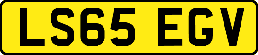 LS65EGV