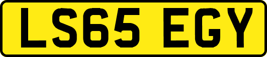 LS65EGY