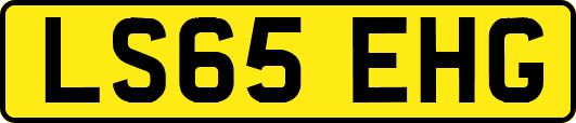 LS65EHG