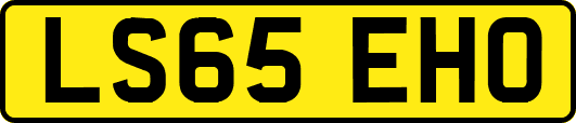 LS65EHO