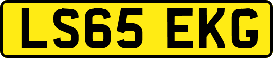 LS65EKG