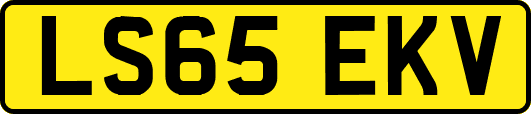 LS65EKV
