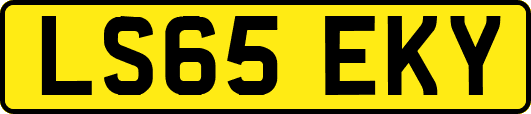 LS65EKY