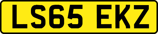 LS65EKZ