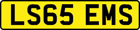 LS65EMS