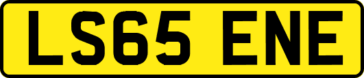 LS65ENE