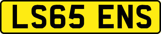 LS65ENS