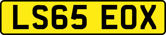LS65EOX