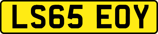 LS65EOY