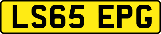 LS65EPG