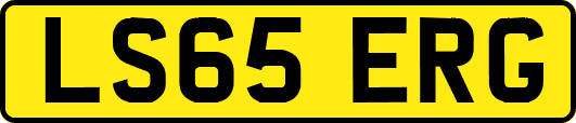 LS65ERG