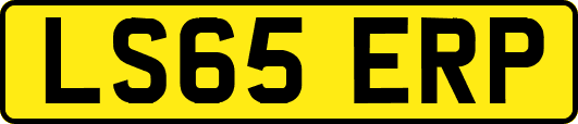 LS65ERP