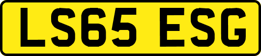 LS65ESG