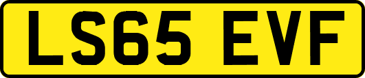 LS65EVF