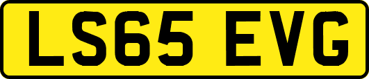 LS65EVG