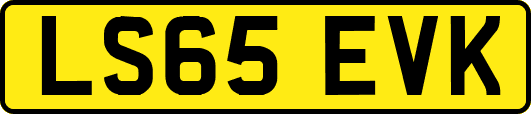 LS65EVK