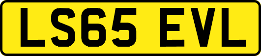 LS65EVL