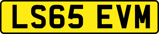 LS65EVM