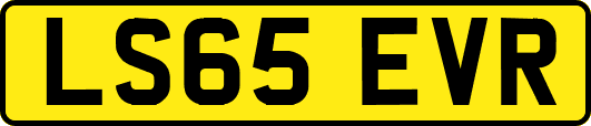 LS65EVR