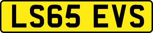 LS65EVS