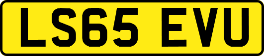 LS65EVU