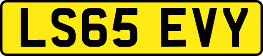 LS65EVY