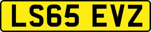 LS65EVZ
