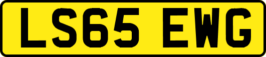 LS65EWG
