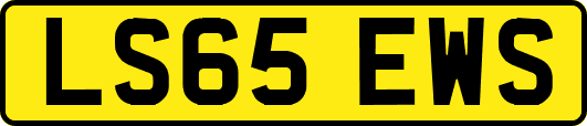 LS65EWS